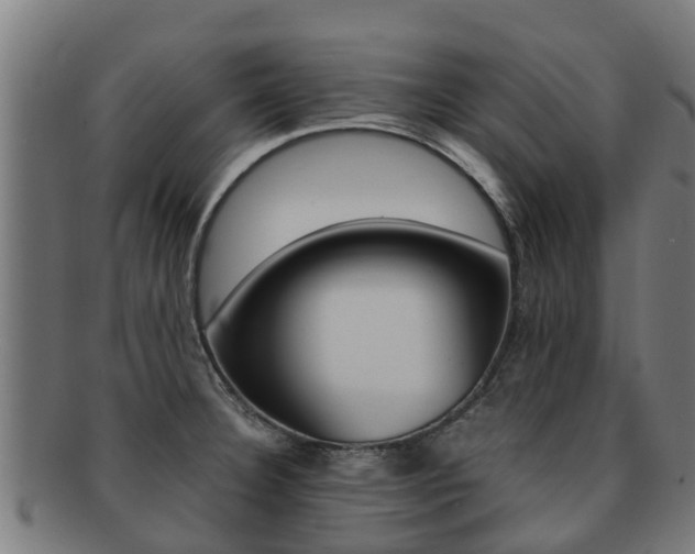 X0000091921332200709051223