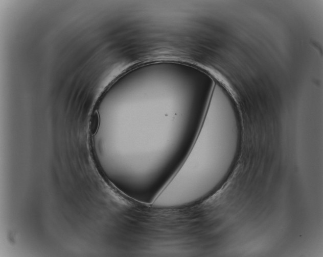 X0000091921333200709051223