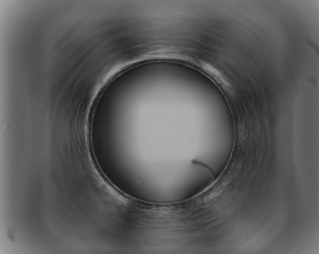 X0000091921334200709051223