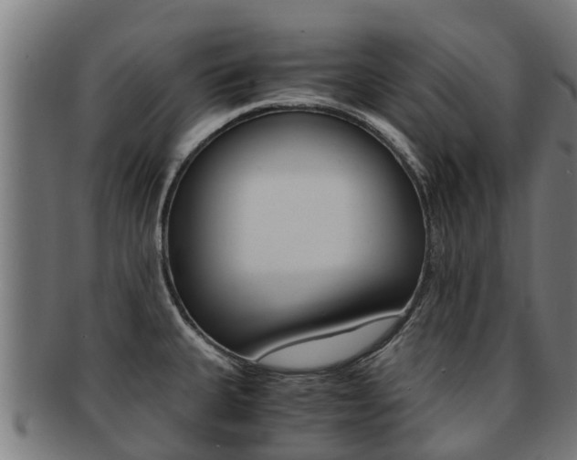 X0000091921335200709051223