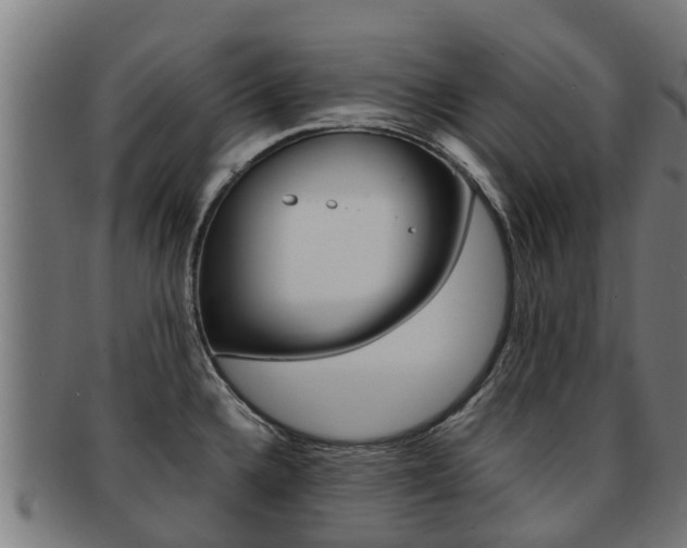 X0000091921336200709051223
