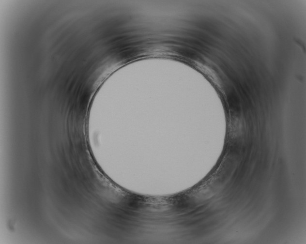 X0000091921338200709051223