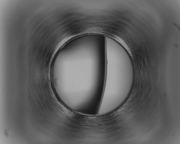 X0000091921339200709051223