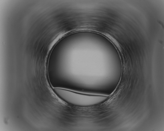 X0000091921341200709051224