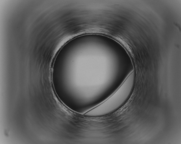 X0000091921342200709051224