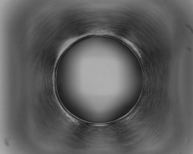 X0000091921343200709051224