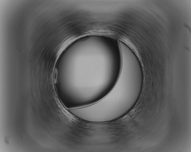 X0000091921344200709051224