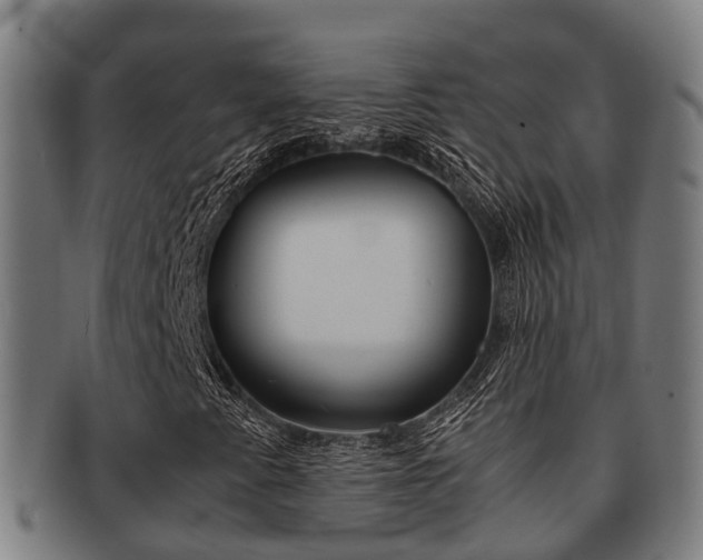X0000091921345200709051223