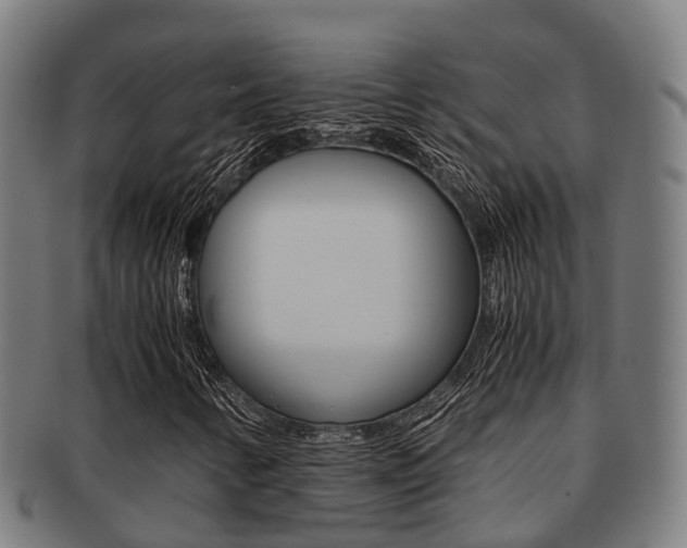X0000091921346200709051223