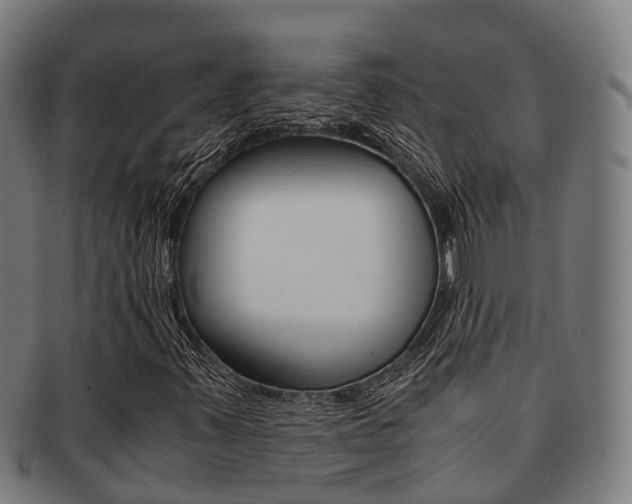 X0000091921347200709051223