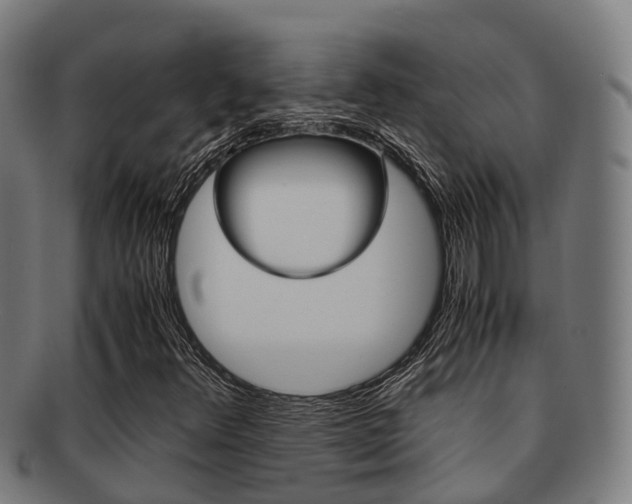X0000091921348200709051223
