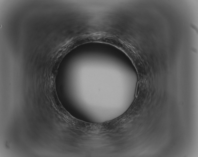X0000091921349200709051223