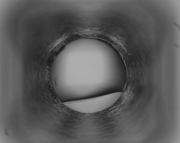 X0000091921350200709051223