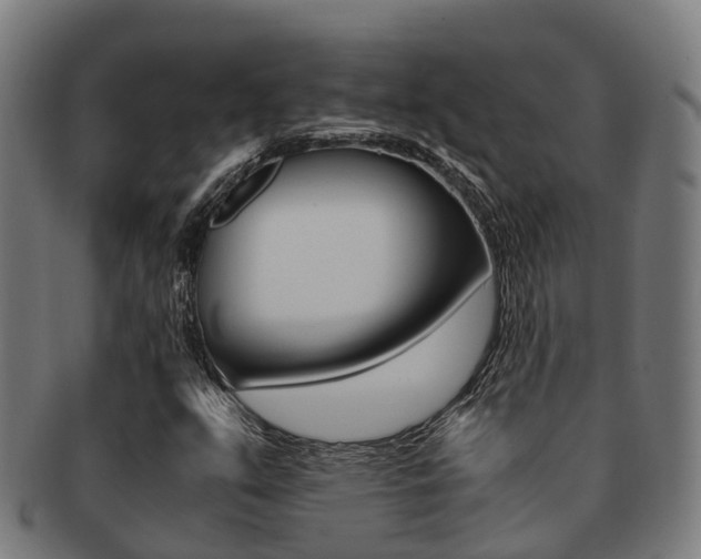 X0000091921351200709051223