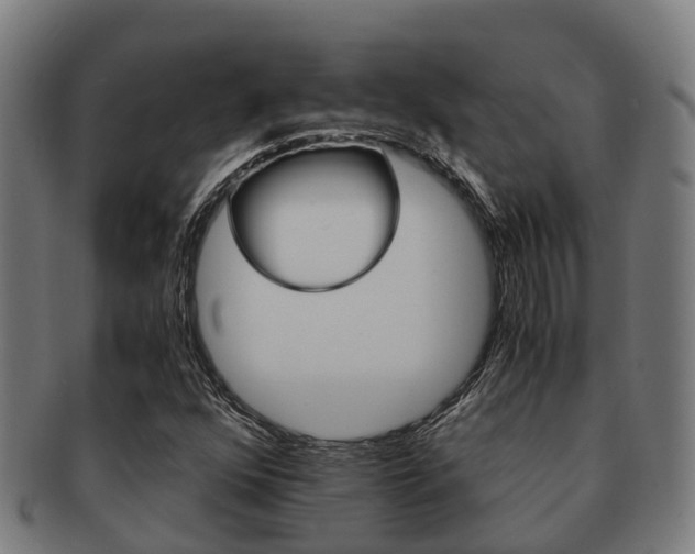 X0000091921352200709051223