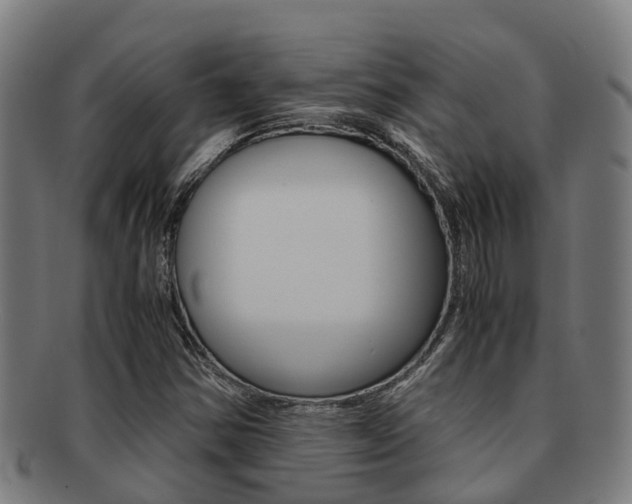 X0000091921354200709051223