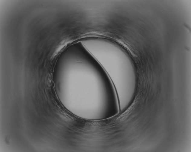X0000091921355200709051223