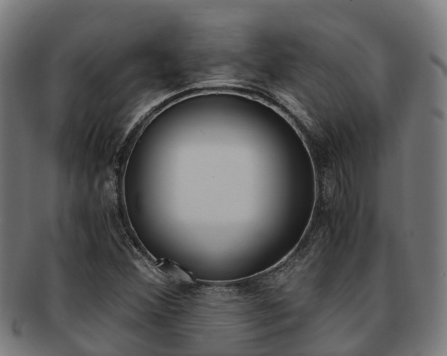 X0000091921356200709051223
