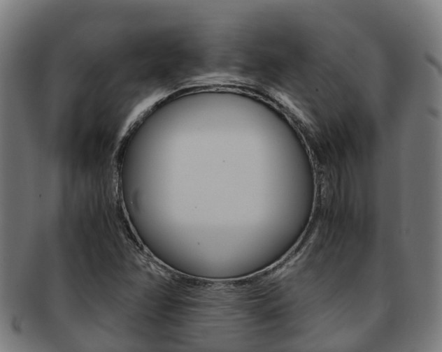 X0000091921358200709051223