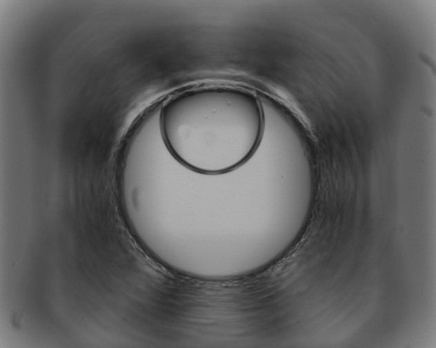 X0000091921360200709051223
