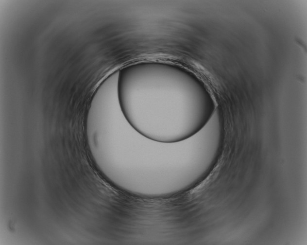 X0000091921361200709051223