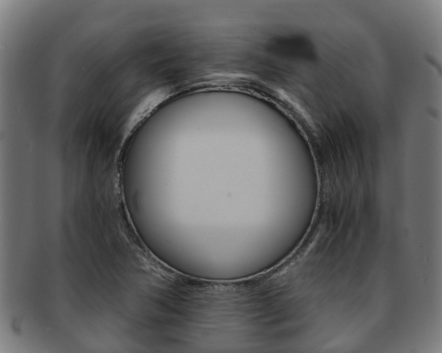 X0000091921362200709051223
