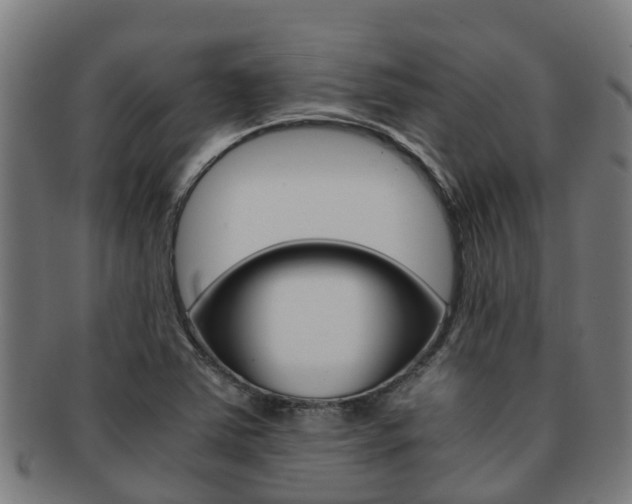 X0000091921363200709051223