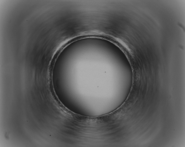 X0000091921364200709051223