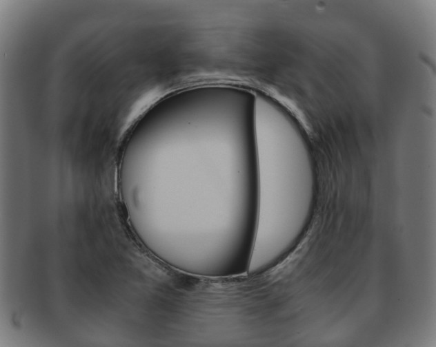 X0000091921365200709051223