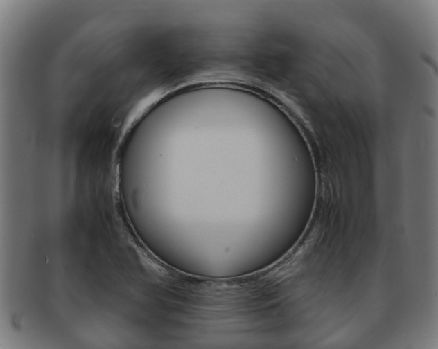 X0000091921366200709051223