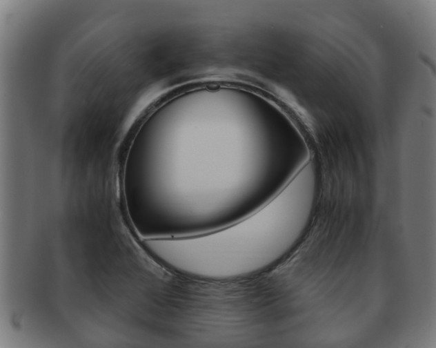 X0000091921368200709051223