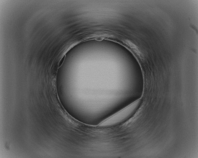 X0000091921369200709051223