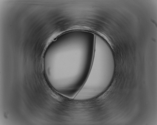 X0000091921371200709051223