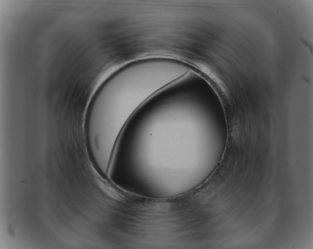 X0000091921372200709051223