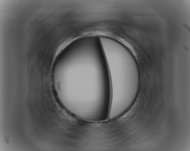 X0000091921373200709051223