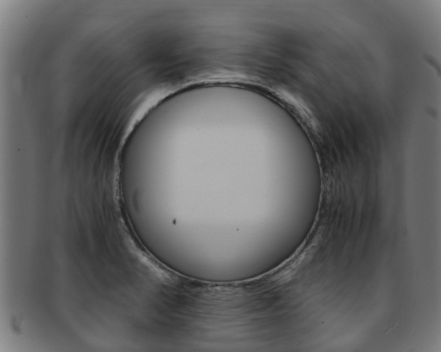 X0000091921374200709051223