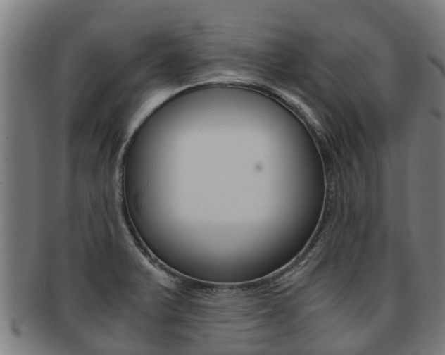 X0000091921375200709051223