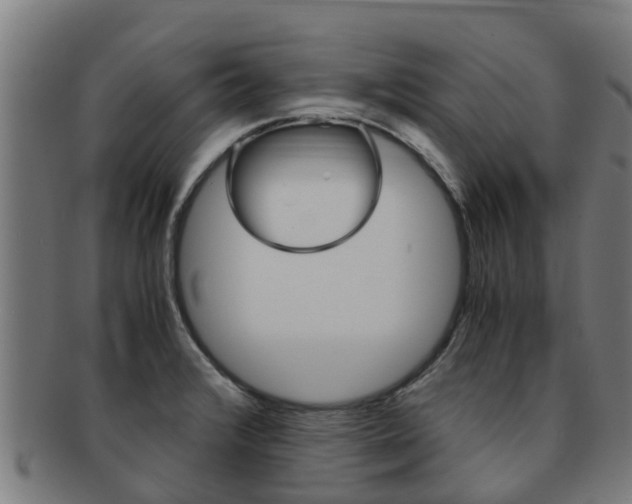 X0000091921376200709051223