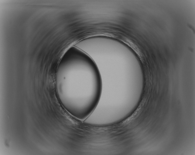 X0000091921377200709051223