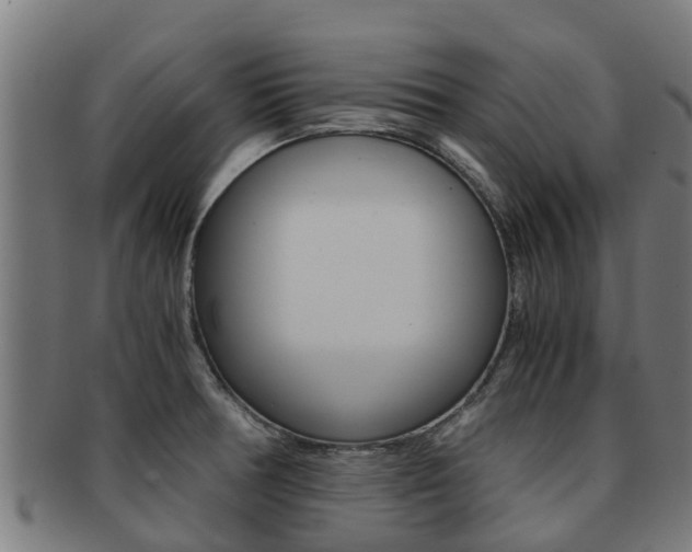 X0000091921378200709051223