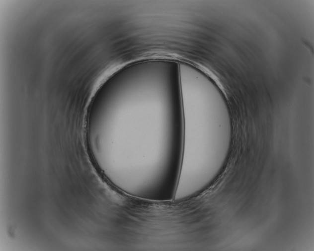 X0000091921379200709051223