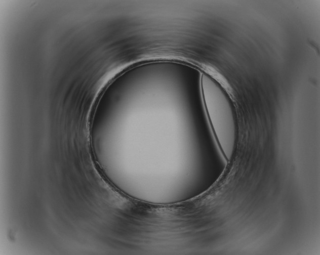 X0000091921380200709051223