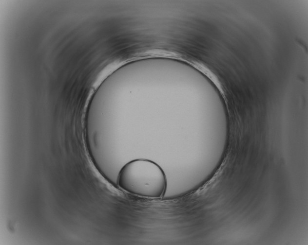 X0000091921381200709051223