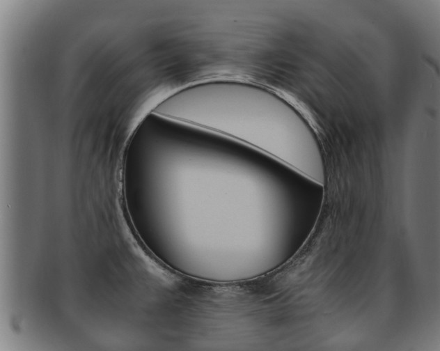 X0000091921383200709051223