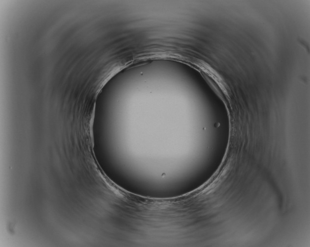 X0000091921385200709051223