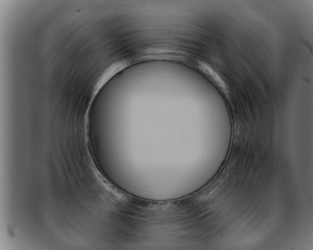 X0000091921386200709051222