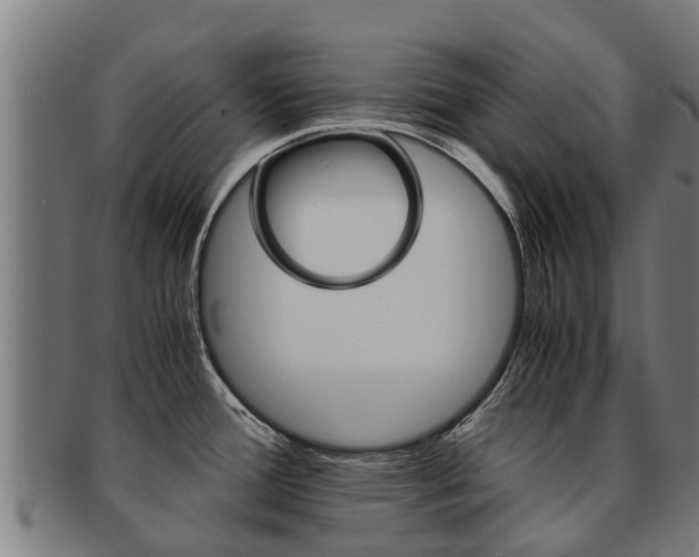 X0000091921388200709051222
