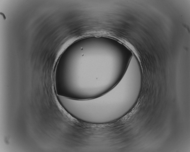 X0000091921389200709051222
