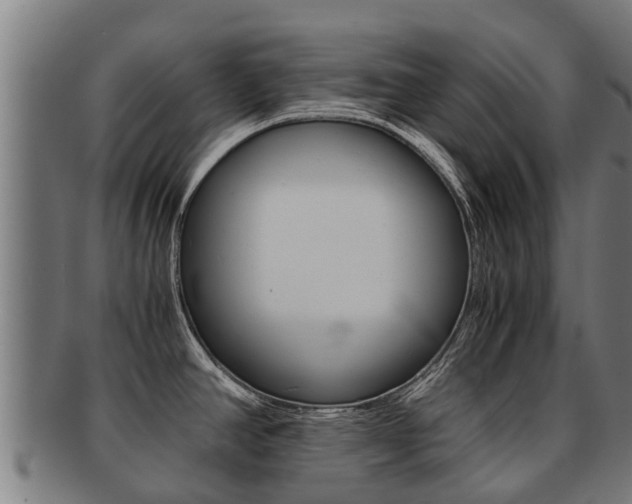 X0000091921390200709051222