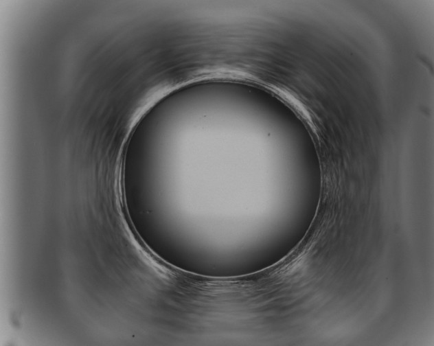 X0000091921391200709051222